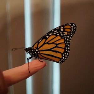 Meet your Posher, Terri